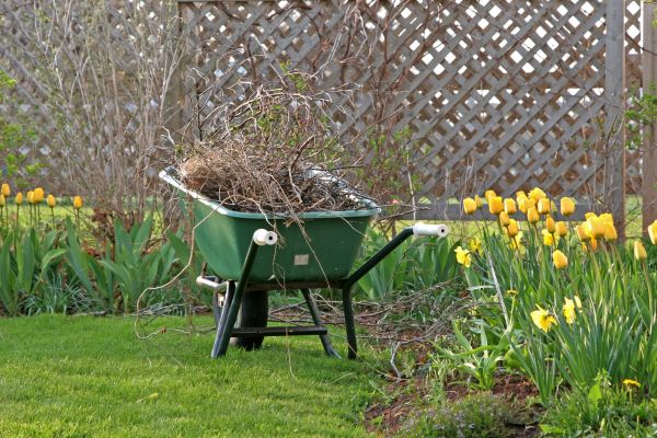 Flower Bed Cleanup Service in Lehigh Acres