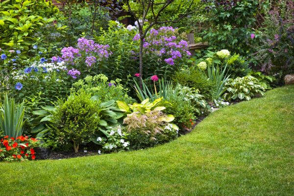 Flower Bed Service in Lehigh Acres