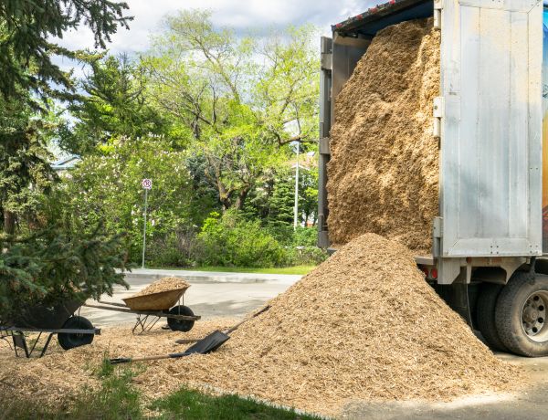 Wood Chips Delivery in Lehigh Acres
