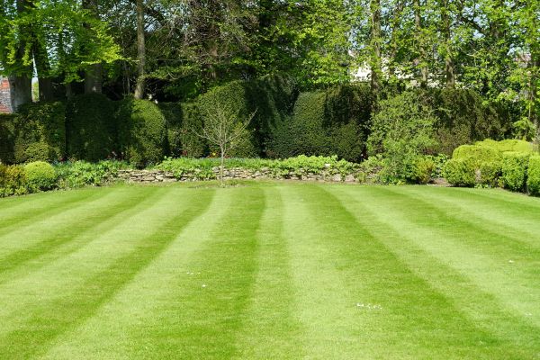 Lawn Renovation in Lehigh Acres