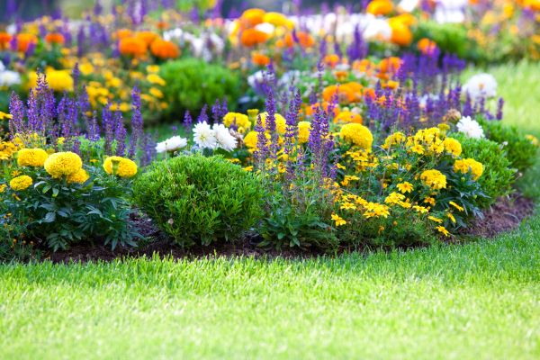 Garden Installation in Lehigh Acres