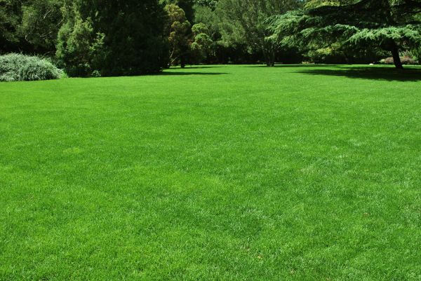 Lawn Landscaping in Lehigh Acres