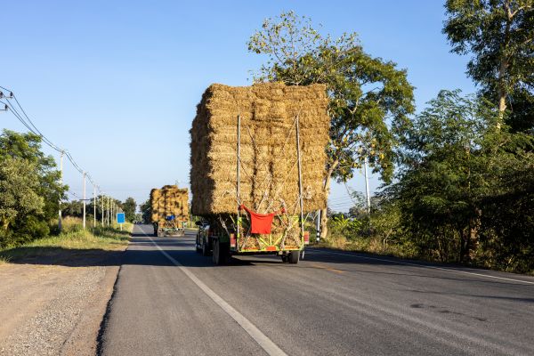 Pine Straw Delivery in Lehigh Acres