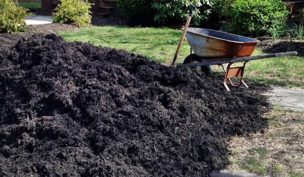 Black Mulch Delivery in Lehigh Acres