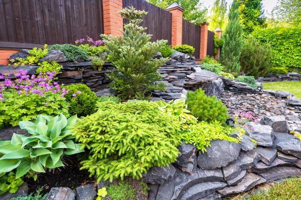 Landscape Remodeling in Lehigh Acres