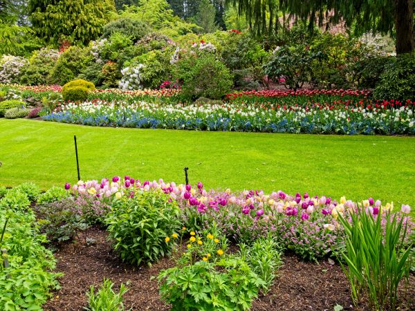 Residential Landscape Design in Lehigh Acres