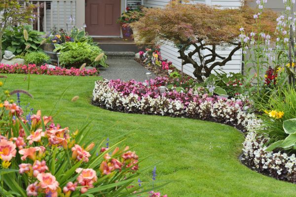 Perennial Landscaping in Lehigh Acres