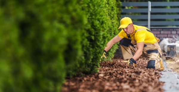 Cypress Mulch Installation in Lehigh Acres