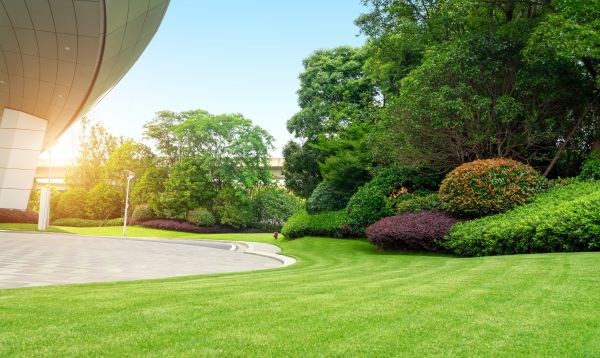 Business Landscape Design in Lehigh Acres