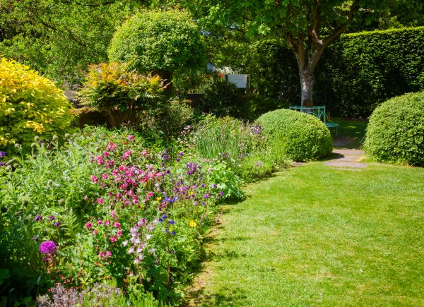 Yard Landscaping Service in Lehigh Acres