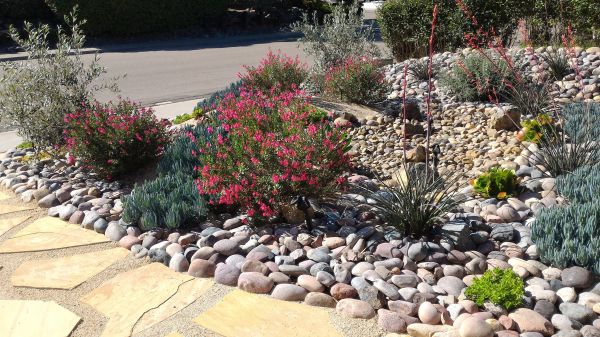Xeriscape Landscaping in Lehigh Acres