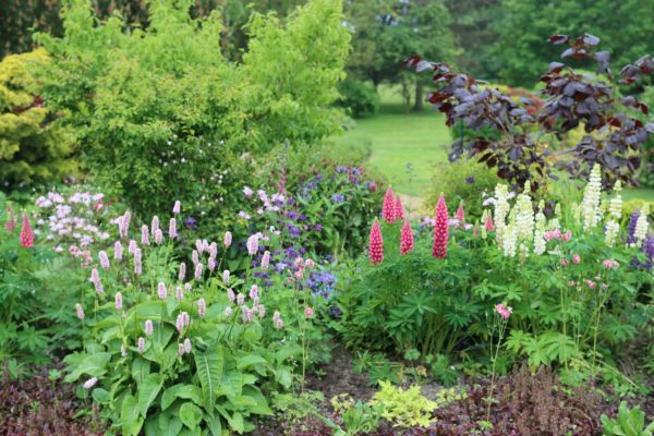 Flower Bed Planting in Lehigh Acres