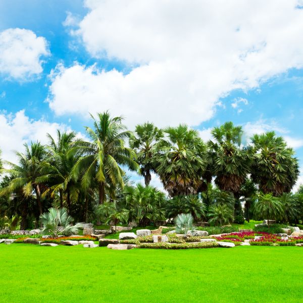 Tropical Landscaping in Lehigh Acres