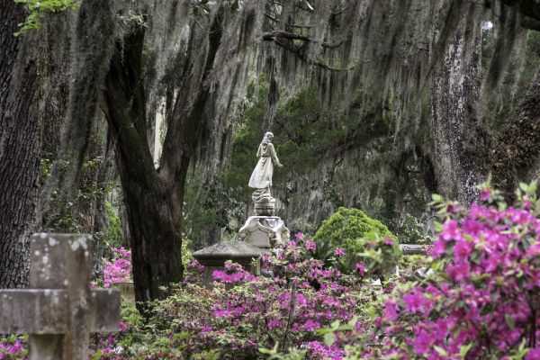 Cemetery Landscaping in Lehigh Acres