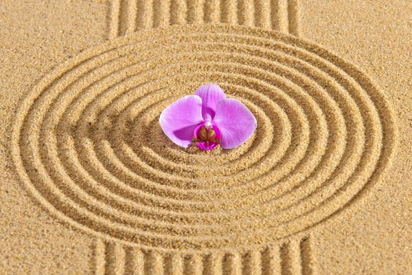 Sand Garden Landscaping in Lehigh Acres