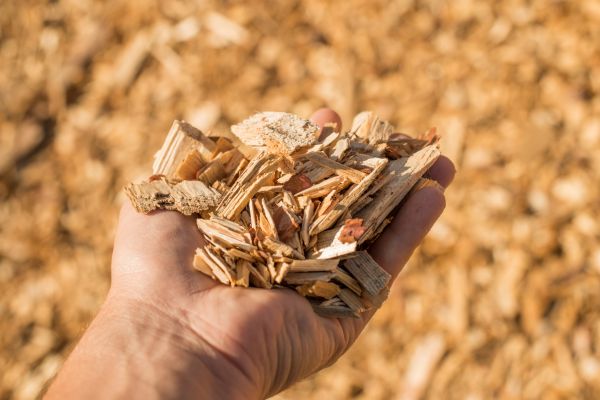 Wood Chips Spreading in Lehigh Acres