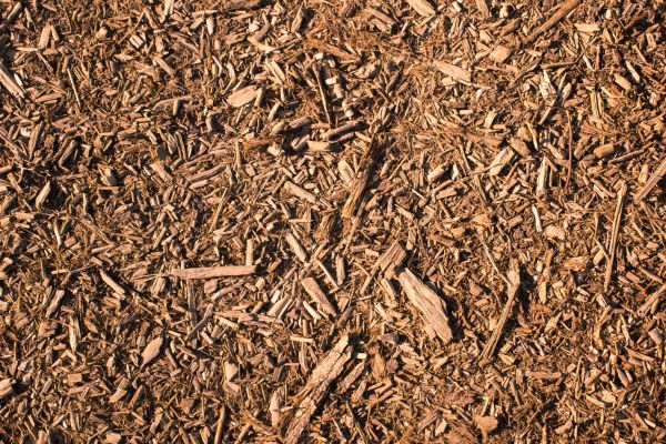 Wood Chips Removal in Lehigh Acres