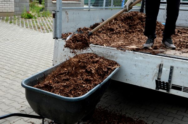 Cedar Mulch Delivery in Lehigh Acres