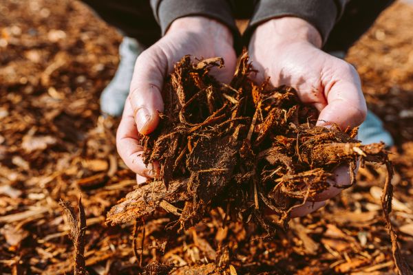 Bark Chips Delivery in Lehigh Acres