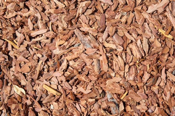 Pine Mulch Delivery in Lehigh Acres