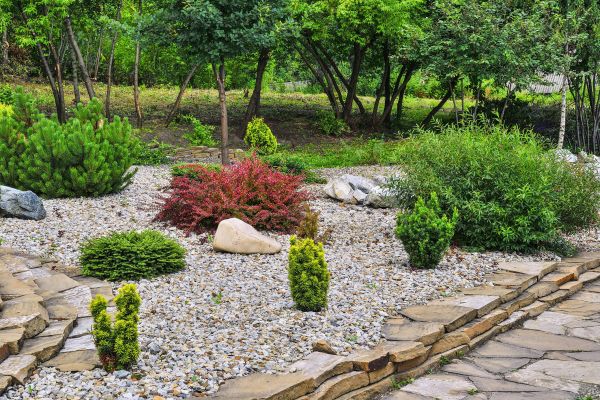 Hardscape Landscaping in Lehigh Acres