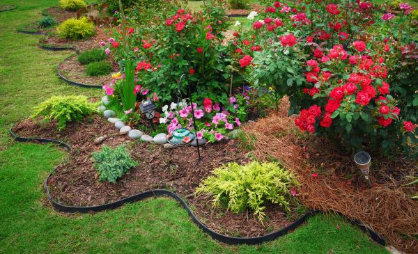 Floral Landscaping in Lehigh Acres