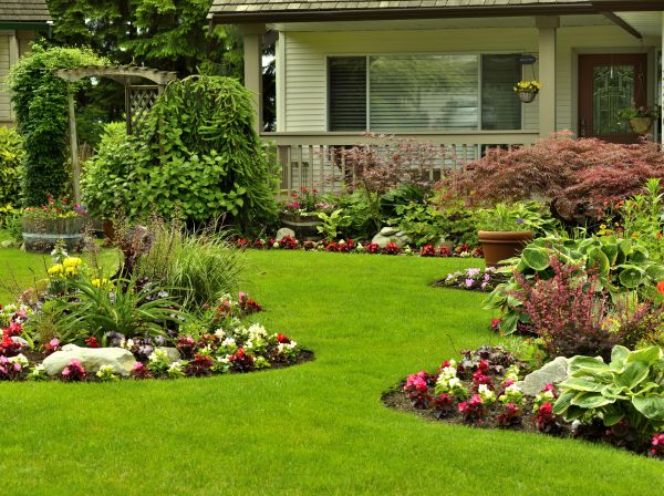 Flower Garden Planting in Lehigh Acres
