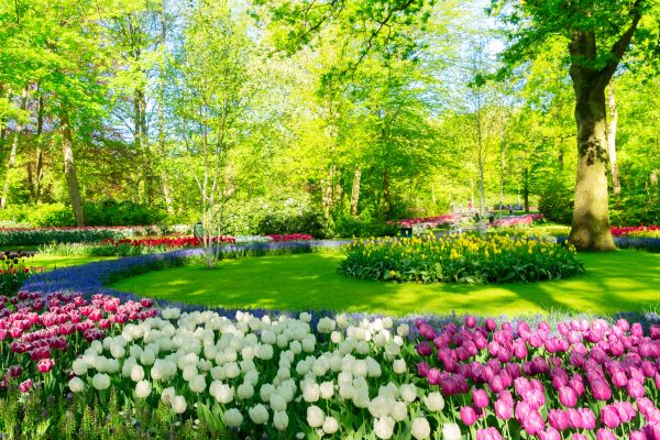 Flower Landscaping in Lehigh Acres