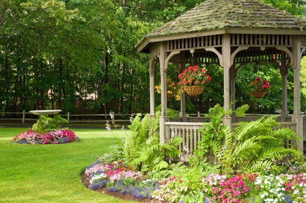 Backyard Landscaping Service in Lehigh Acres