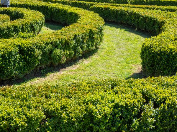 Bush Landscaping in Lehigh Acres