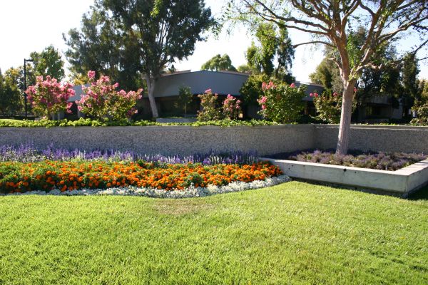 Commercial Landscape Service in Lehigh Acres