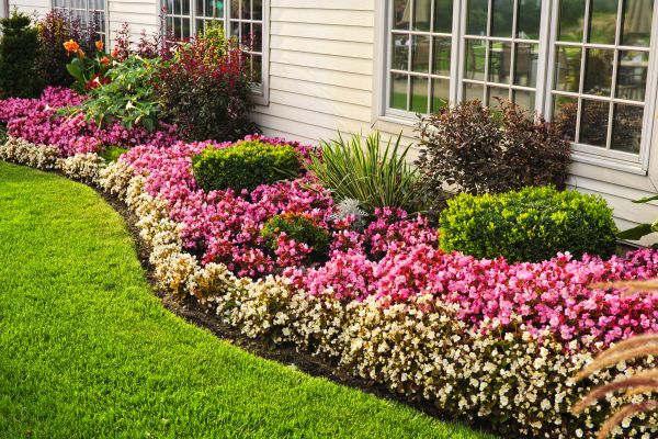 Garden Landscape Design in Lehigh Acres