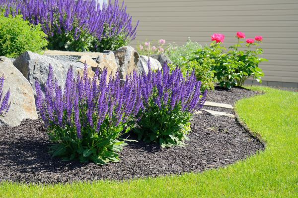 Landscape Planting Service in Lehigh Acres