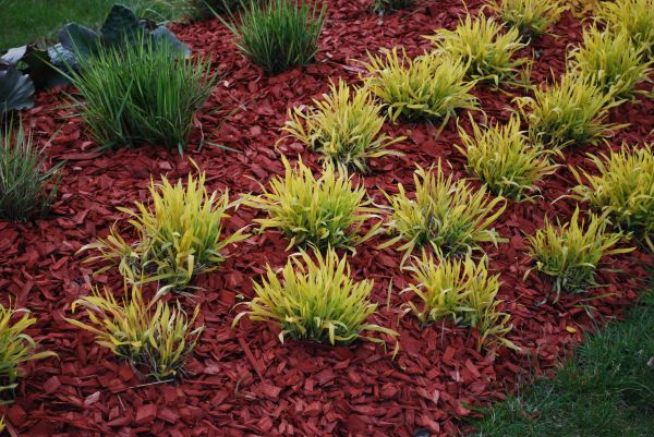 Red Mulch Installation in Lehigh Acres