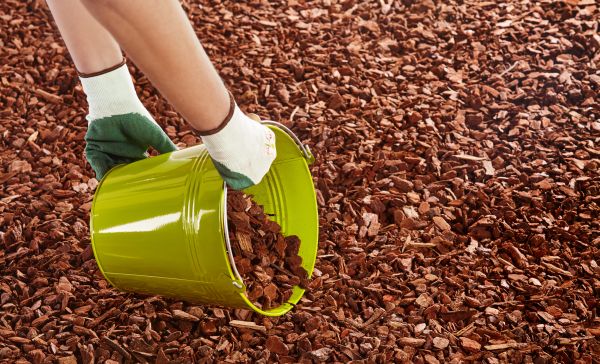 Wood Chip Landscaping in Lehigh Acres