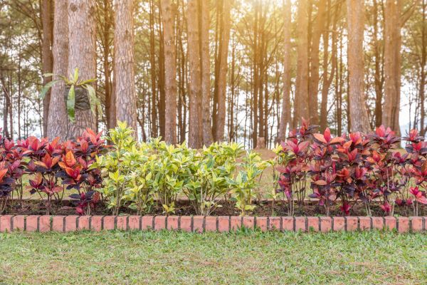 Small Garden Landscaping in Lehigh Acres