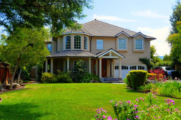 Large Yard Landscaping in Lehigh Acres