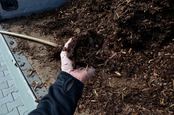 Condo Mulching in Lehigh Acres