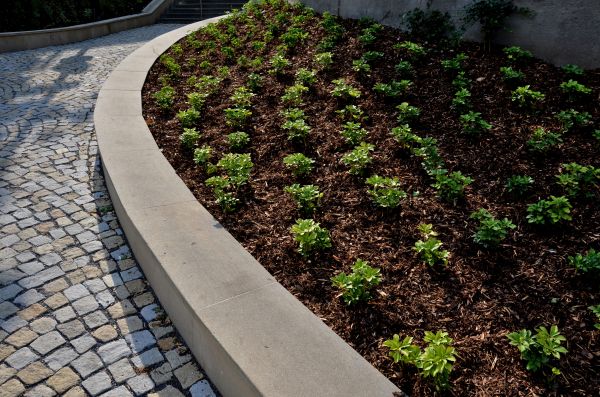 Commercial Mulching in Lehigh Acres