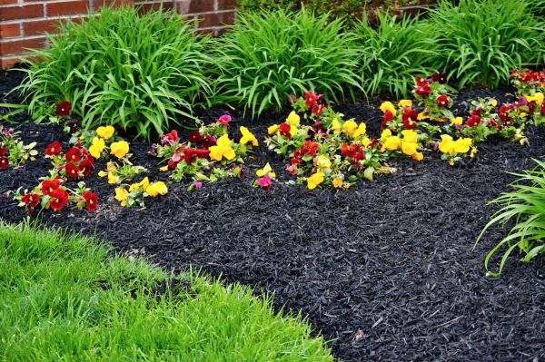 Apartment Mulching in Lehigh Acres