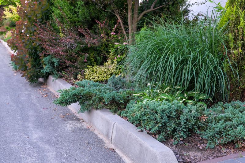 Curb Appeal Landscaping